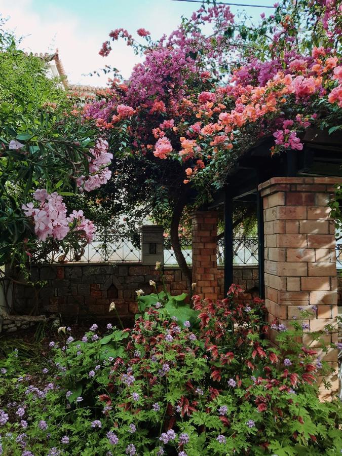Veneto'S Garden Lejlighed Kardhamili Eksteriør billede